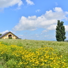 ケンとメリーの風景