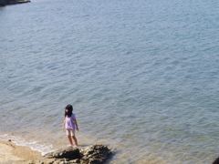 海