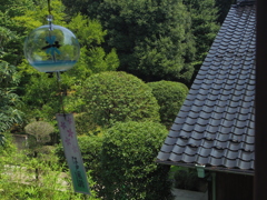 じゃぽん