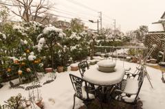 雪の庭