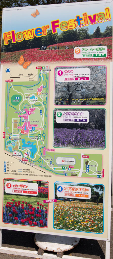 「Flower Festival」　の立て看板
