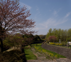橋からの風景