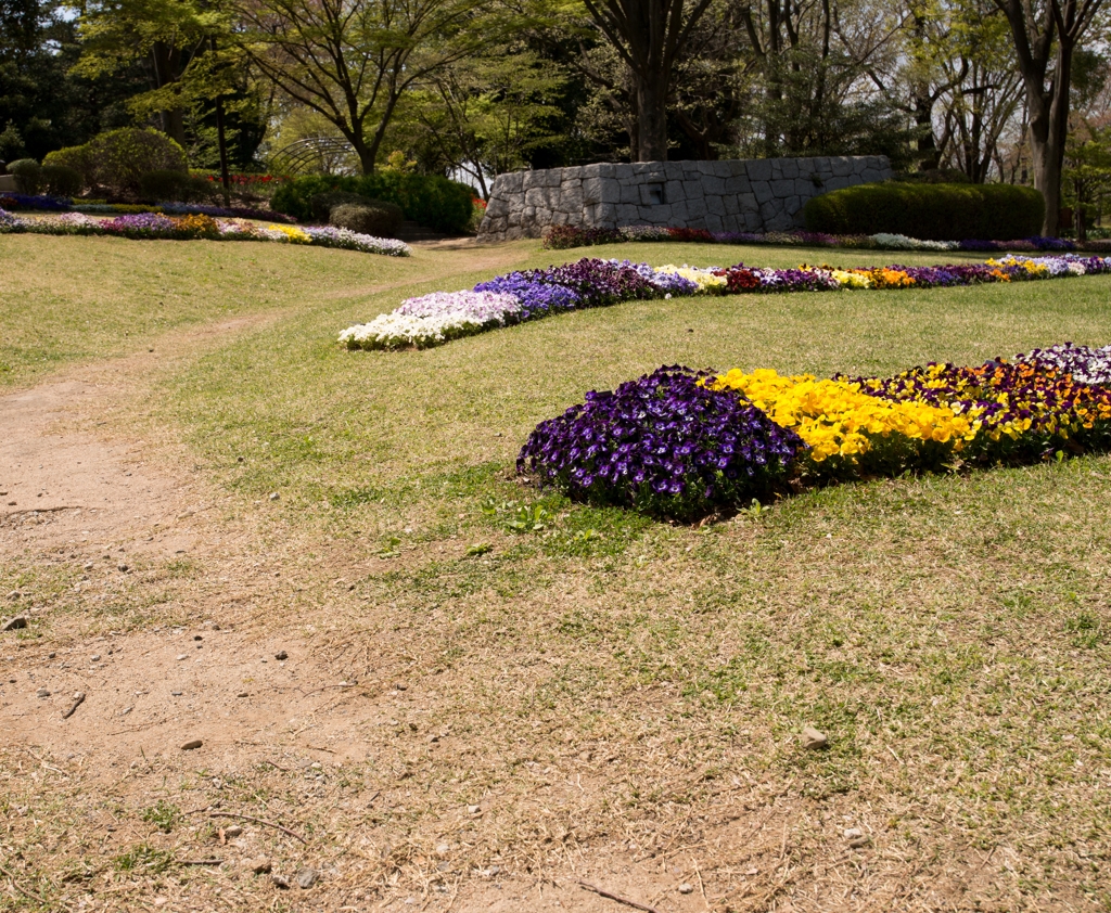 公園の入り口付近
