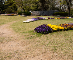 公園の入り口付近