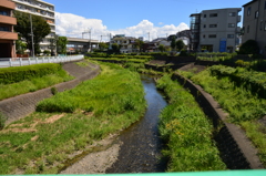のどかに流れてます