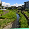 のどかに流れてます