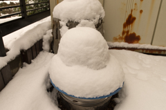 雪だるまっぽい