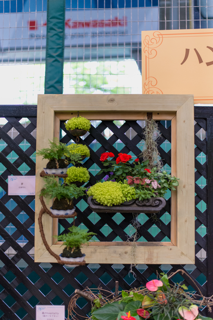 ハンギングバスケット１１