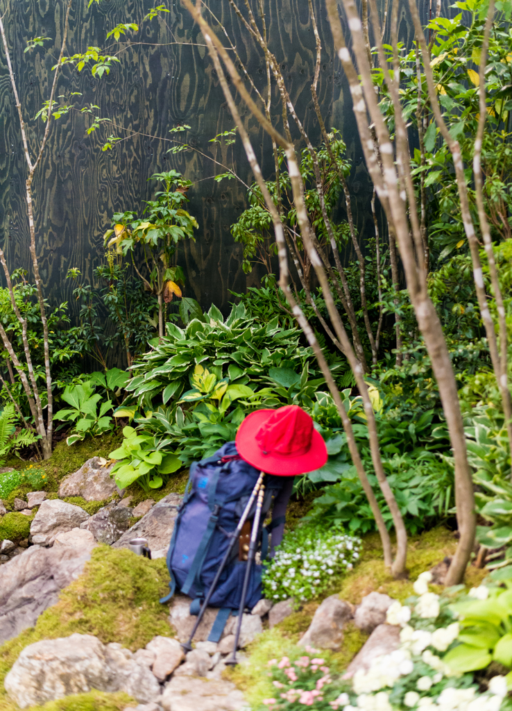 登山家さんどこ行ったのだろう？