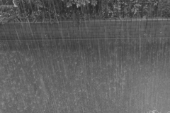 打ち付ける雨