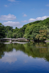 池に架かる橋と紅葉と