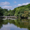 池に架かる橋と紅葉と