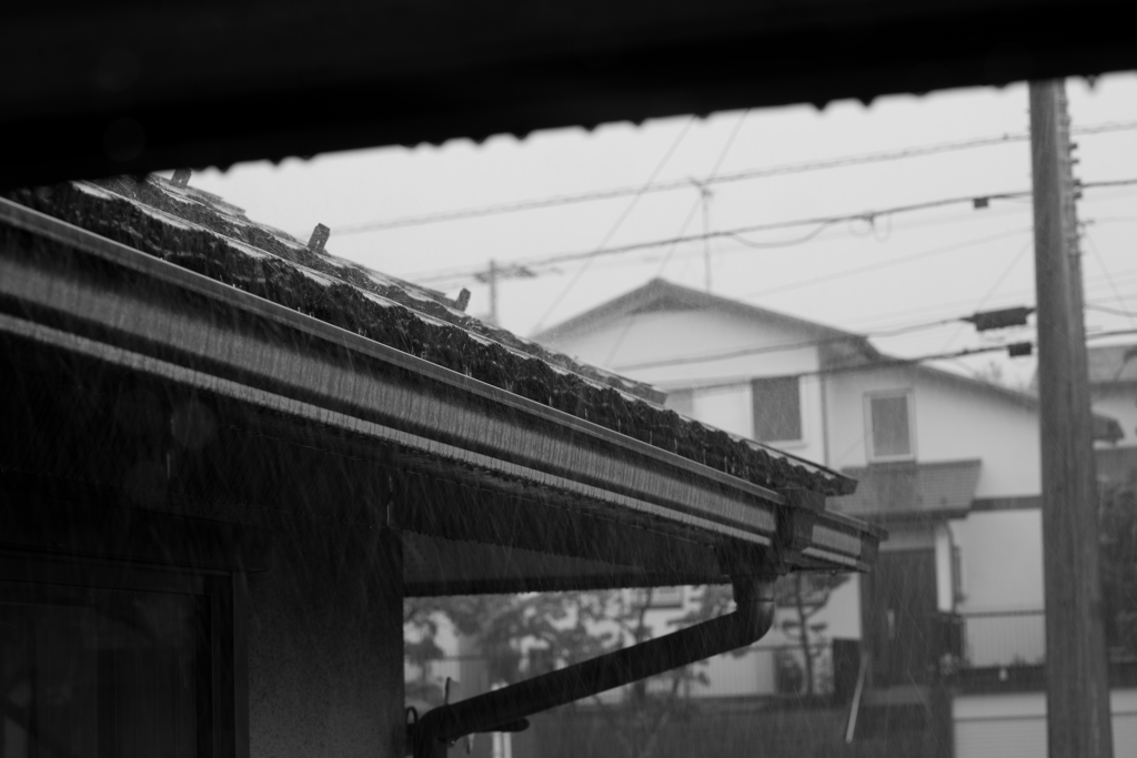 雨の様子を自室より眺める