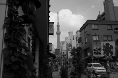 スカイツリー