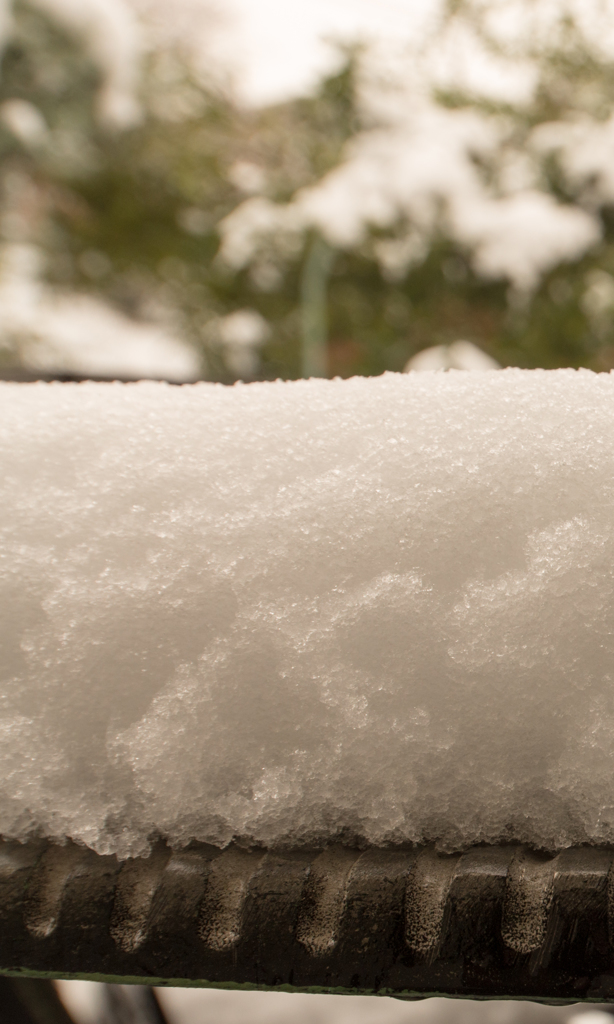 今年最初の積雪