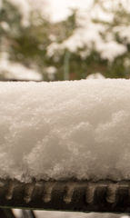 今年最初の積雪