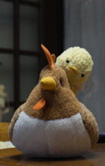 あそぼー！