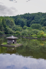 憩いの場