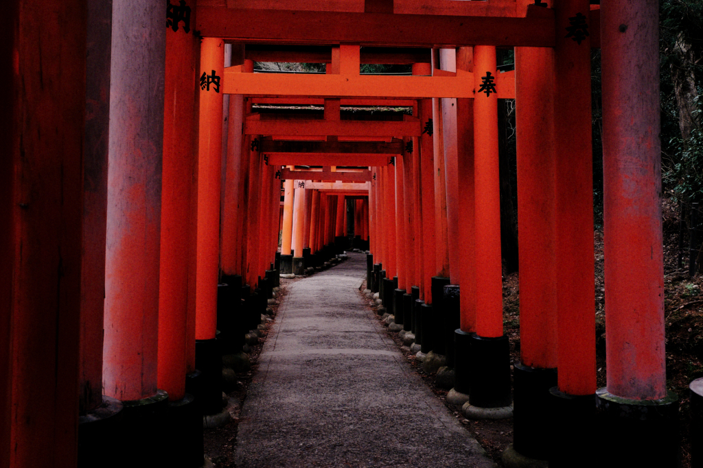 DSCF1956_DxO