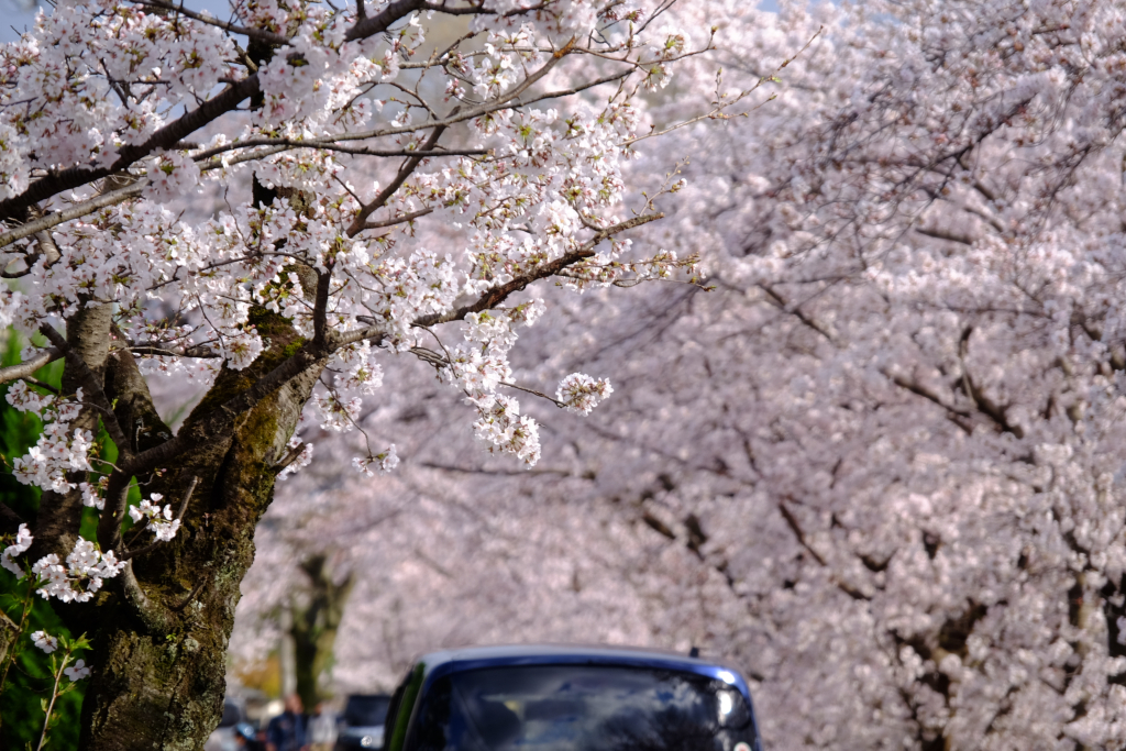 DSCF3373_DxO