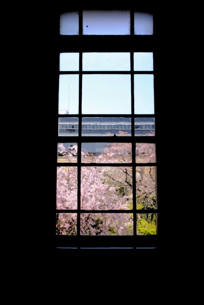 窓
