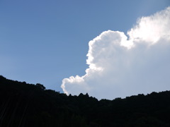 P1160252