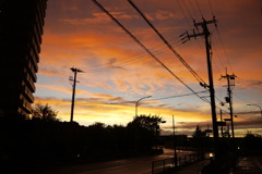 夕日に沈む街