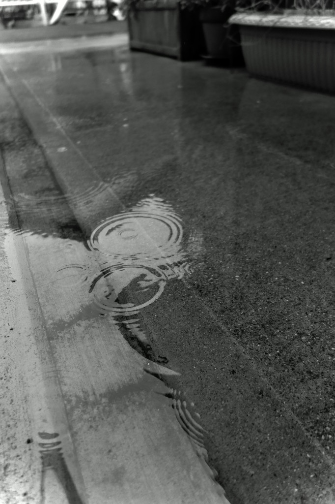 DSC007201
