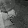 DSC007201