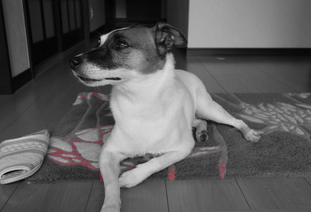 DSC00089