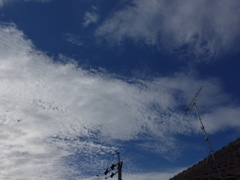 DSC00727