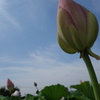 DSC00494