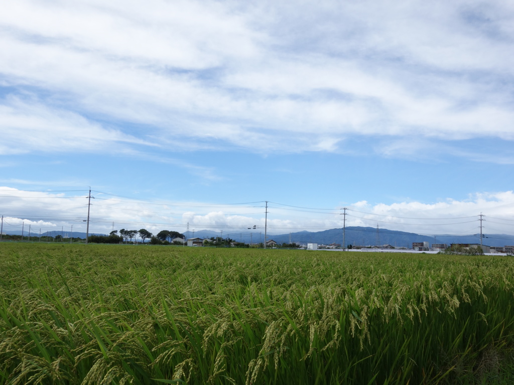 DSC00780