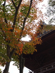DSC00867