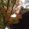 DSC00867