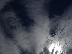 DSC00729