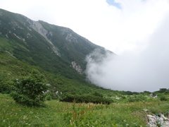 DSC00652