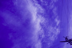 DSC007031