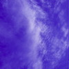 DSC007031