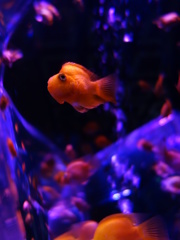 DSC00763