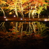 逆さ紅葉