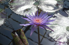 DSC00183