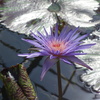 DSC00183