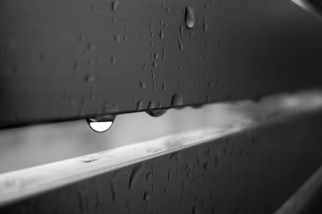 DSC007221
