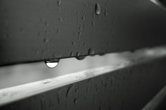 DSC007221