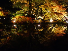 DSC00890