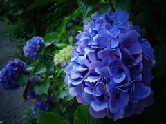 DSC00542