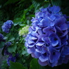 DSC00542