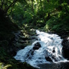 DSC00569