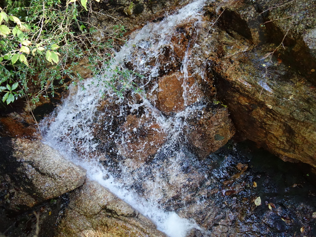 DSC00826